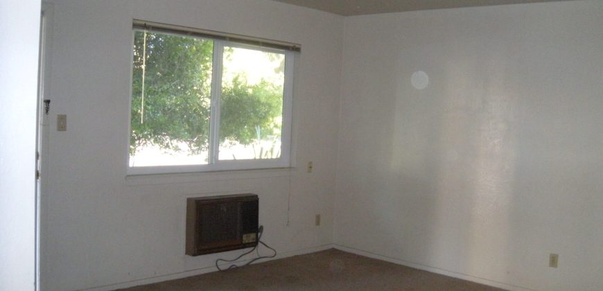 426 E. 8th Street #1