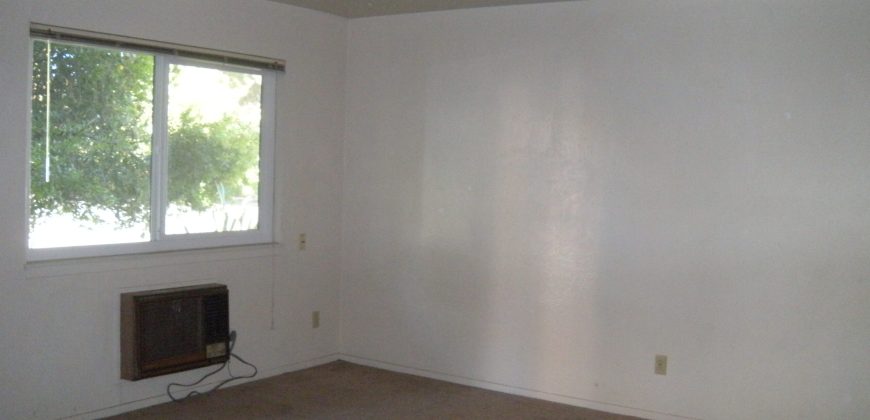 426 E. 8th Street #1